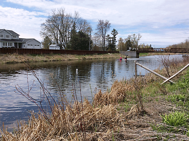 Marsh Mash Regatta